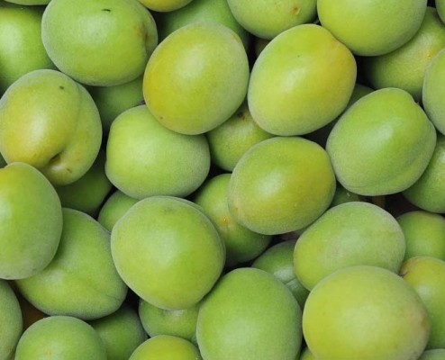 You are currently viewing BENEFITS OF KAKADU PLUM FOR SKIN, HAIR, AND HEALTH~